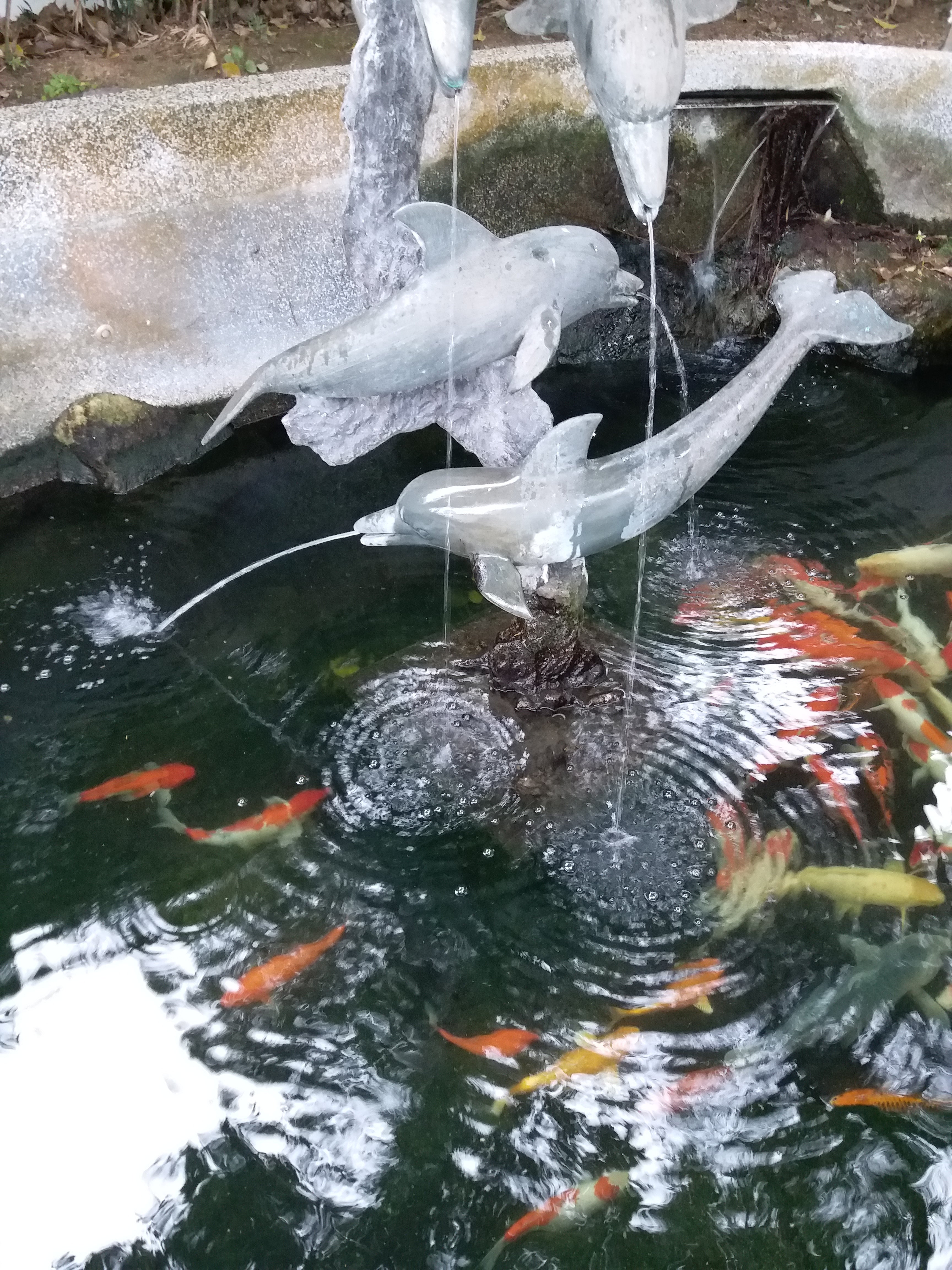 Fish Ponds
