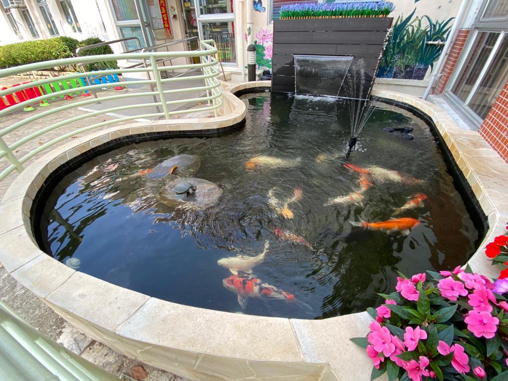 Fish Pond - Caritas HK - Charity Project