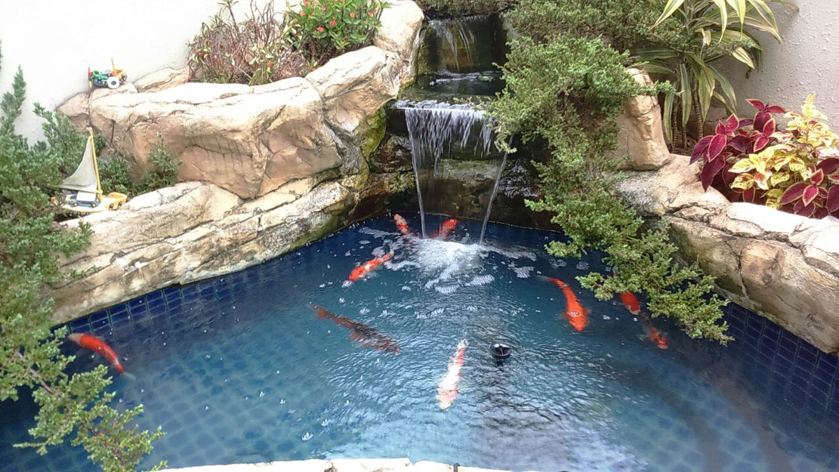 Freeform Fish Pond with waterfall