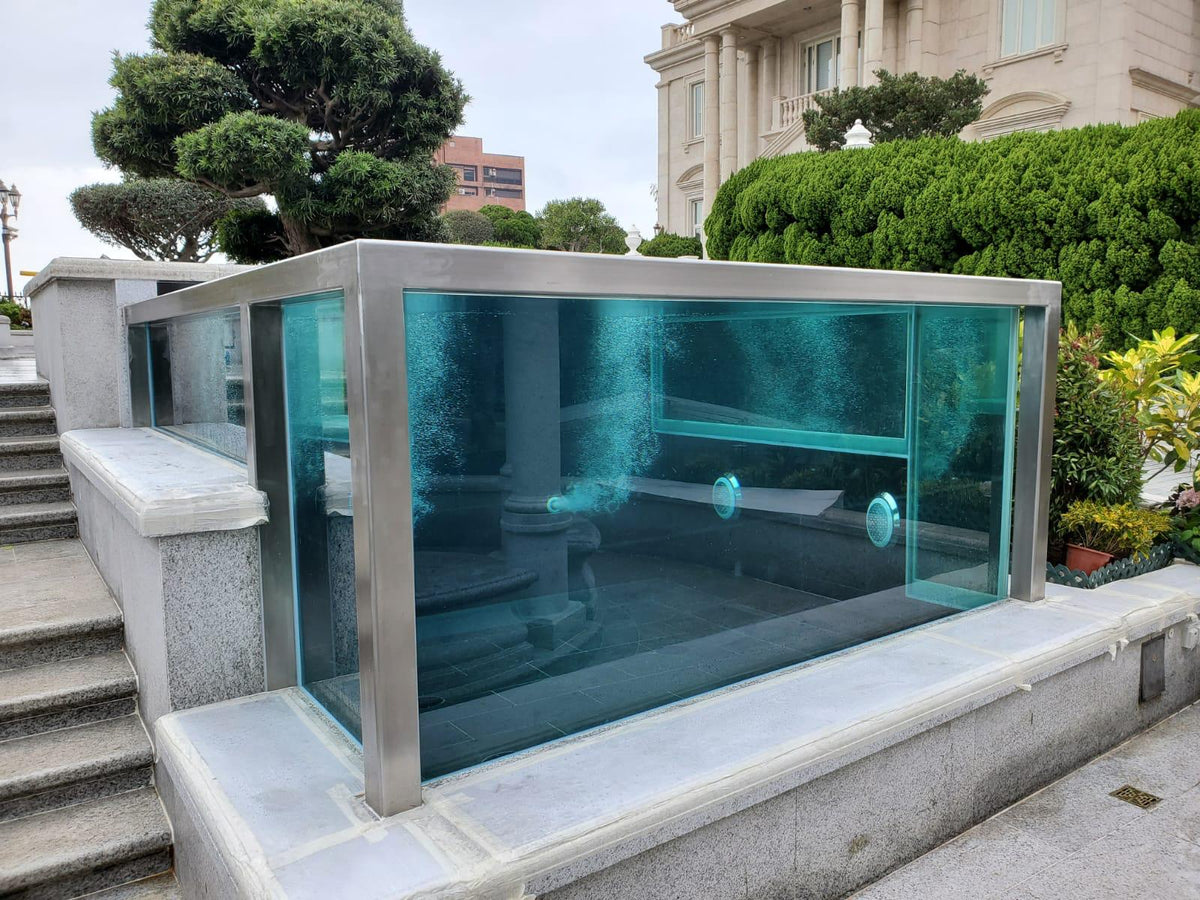 Glass Fish Pond