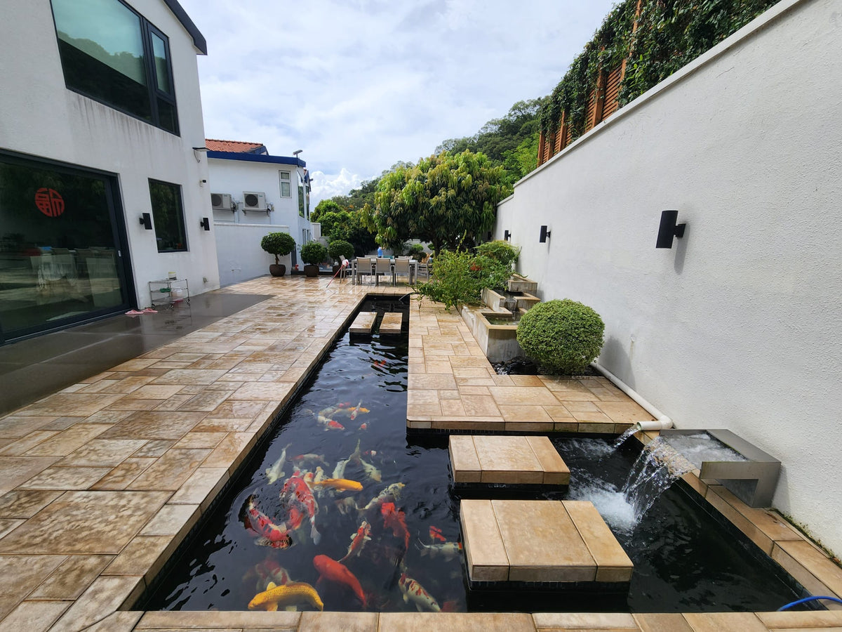 Modern Fish Pond
